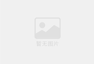 WZB-602型自动包心鱼丸机